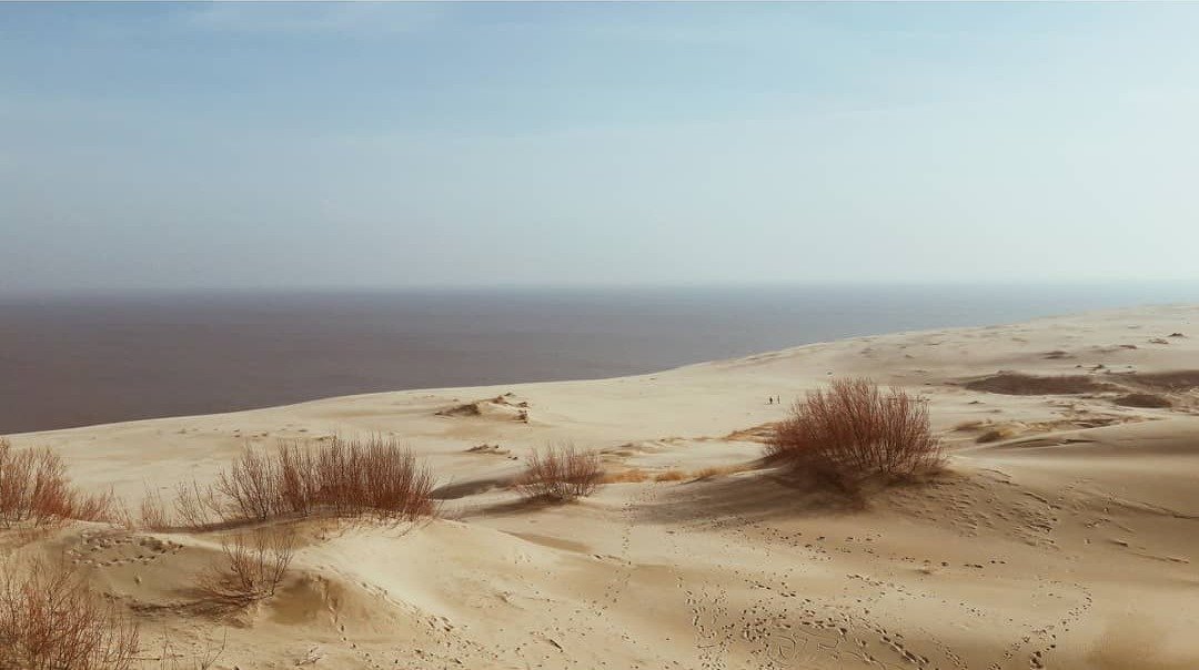 Alexander Shevchenko sand beach dunes calming images