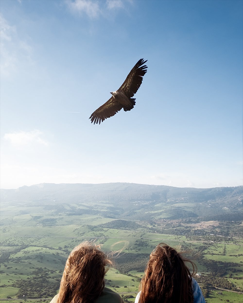 Fabian Tegeler eagel flying sky countryside calming image girls