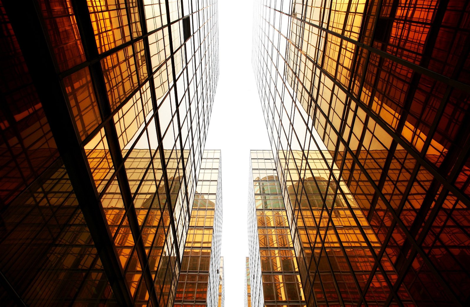 skyscrapers harmony